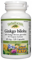 Natural Factors Ginkgo Biloba, Гингко Билоба, 120 капсул